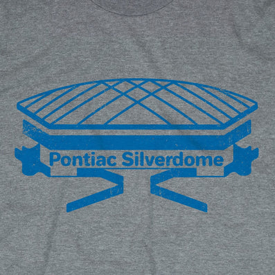 The Pontiac Silverdome Michigan Detroit T-Shirt Graphic Gray