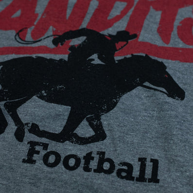 Tampa Bay Bandits T-Shirt Detail Gray