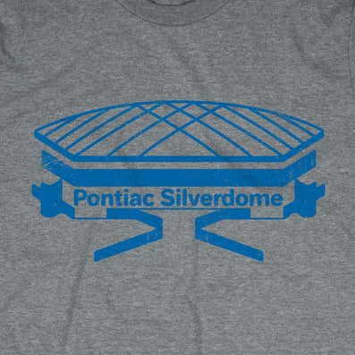 The Pontiac Silverdome Michigan Detroit T-Shirt Graphic Gray