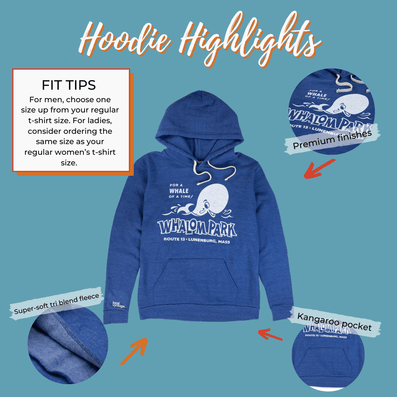 Whalom Park Hoodie Highlights Cobalt Blue