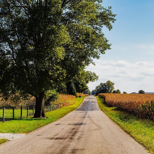 Indiana – Local Vyntage