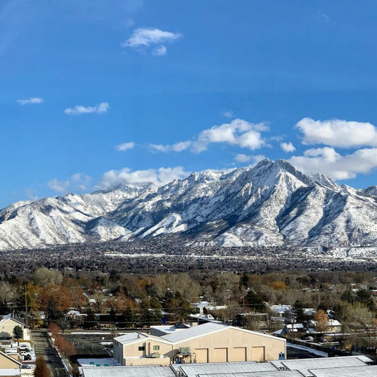Utah – Local Vyntage
