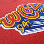 WCOZ 95.4 Boston Massachusetts Detail Left Red