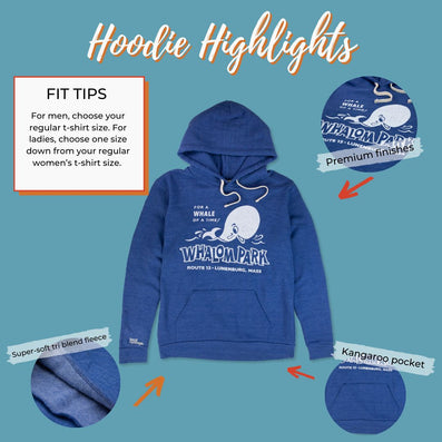 Whalom Park Hoodie Highlights Cobalt Blue