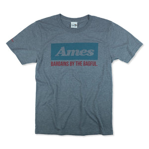 Ames T-Shirt Front Gray