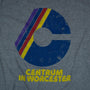 The Centrum Worcester Massachusetts T-Shirt Graphic Gray