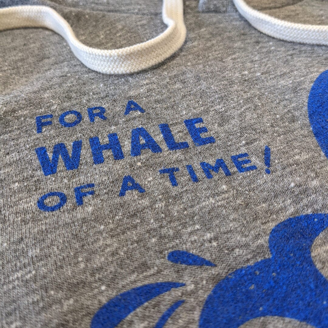 Whalom Park Hoodie For A Whale Of A Time Gray