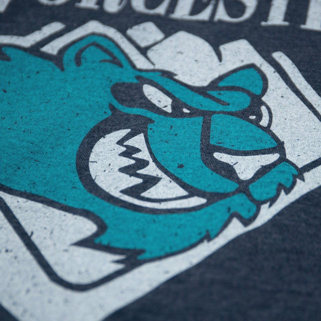 Worcester IceCats Massachusetts T-Shirt Detail Dark Blue